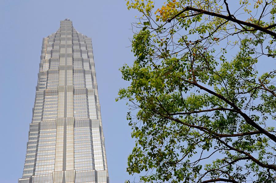 Jin Mao Tower