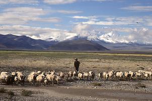 Tibet