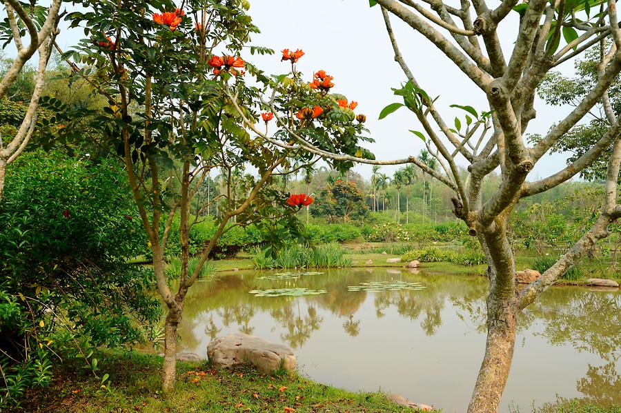 Menglun - Botanical Garden