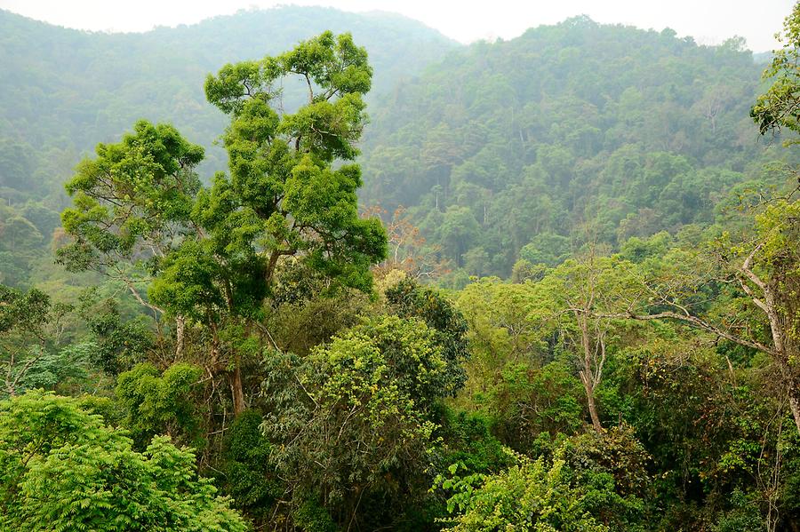 Sanchahe Nature Reserve