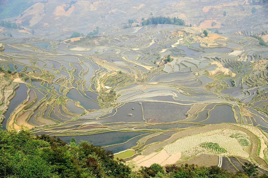 Rice Terraces near Qingkou