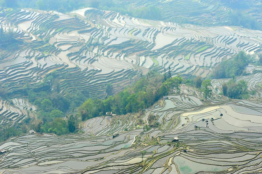 Rice Terraces near Qingkou