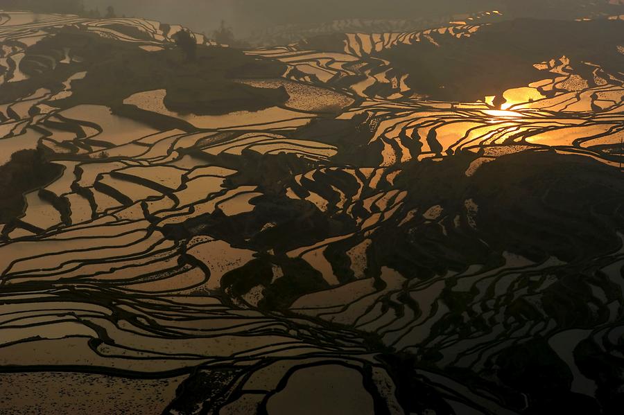 The Rice Terraces of Duoyishu