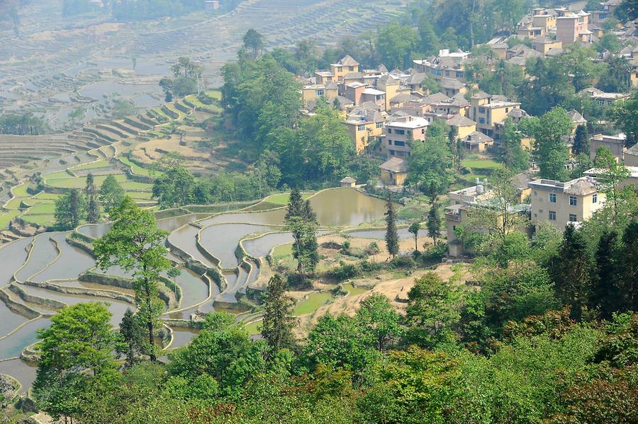 The Rice Terraces of Duoyishu