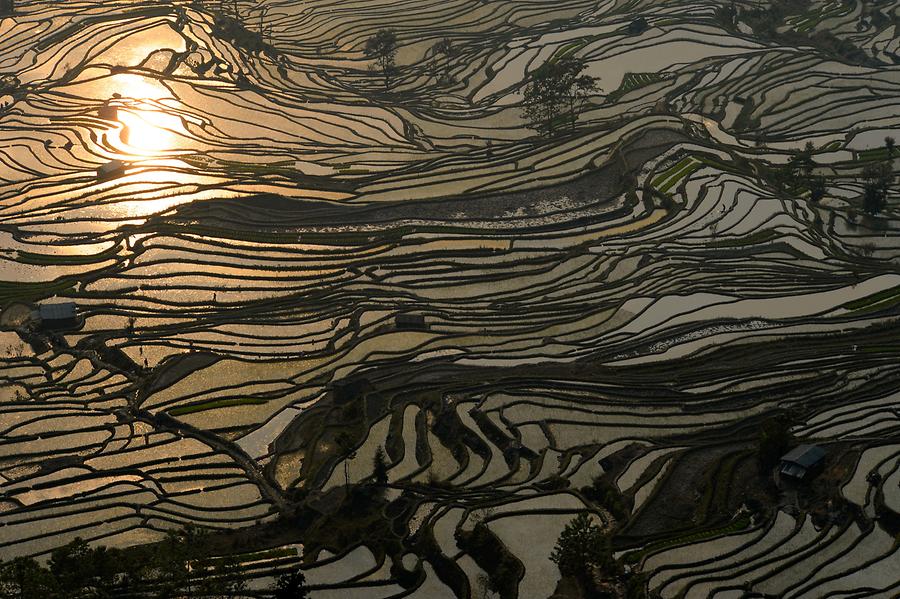 The Rice Terraces of Laohuzui