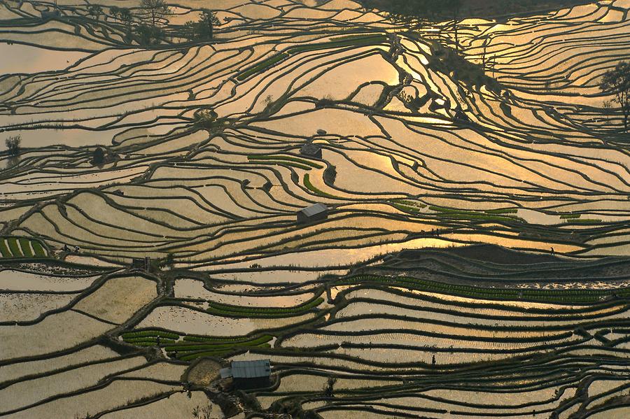 The Rice Terraces of Laohuzui