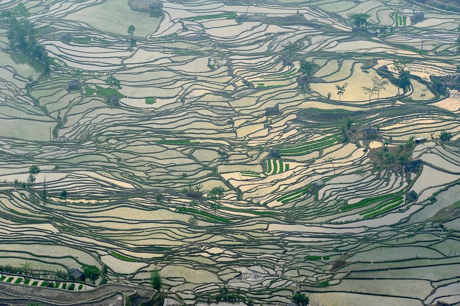 The Rice Terraces of Laohuzui