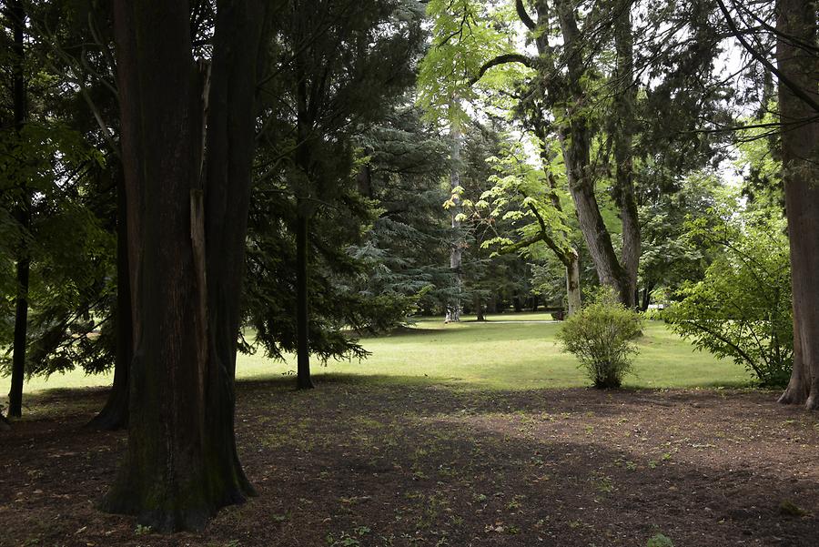 Tsinandali - Alexander Chavchavadze's House; Park