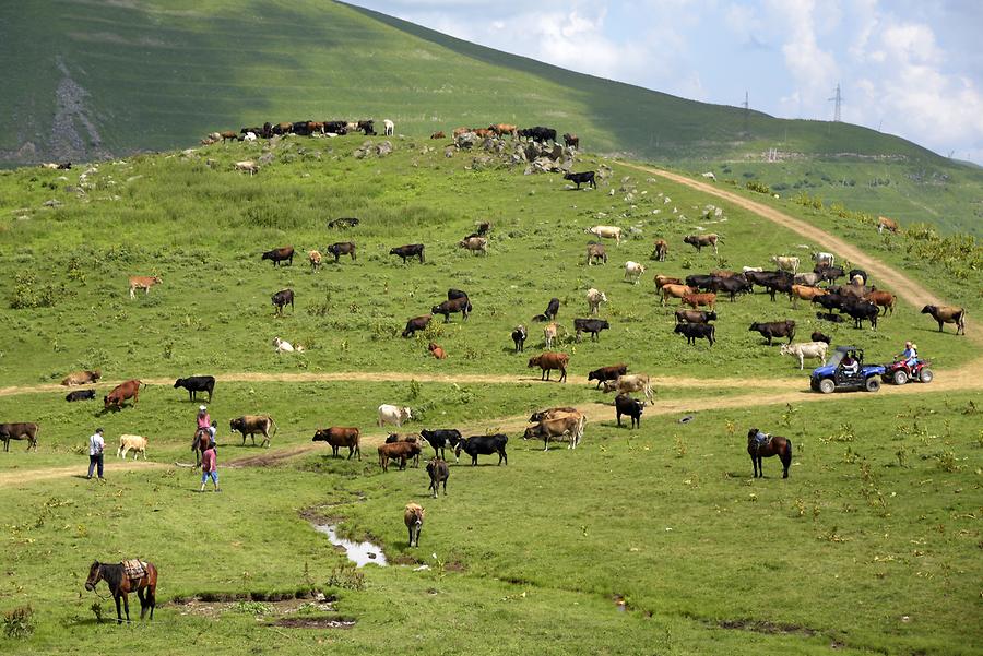 Jvari Pass - Landscape