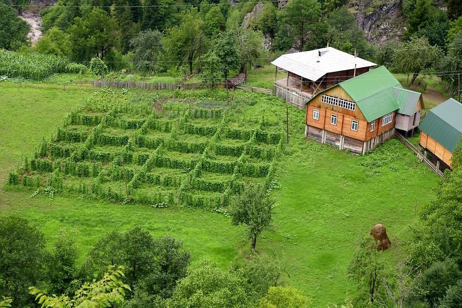 Farmstead near Khulo