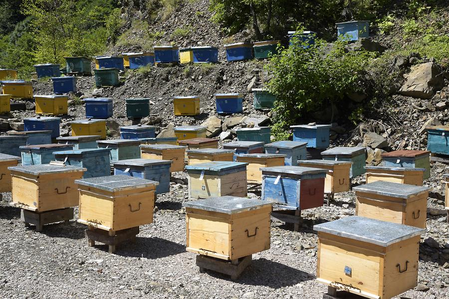 Near Khulo - Beehives