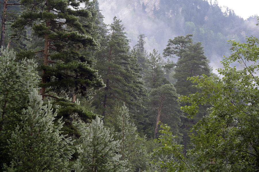 Valley near Adishi