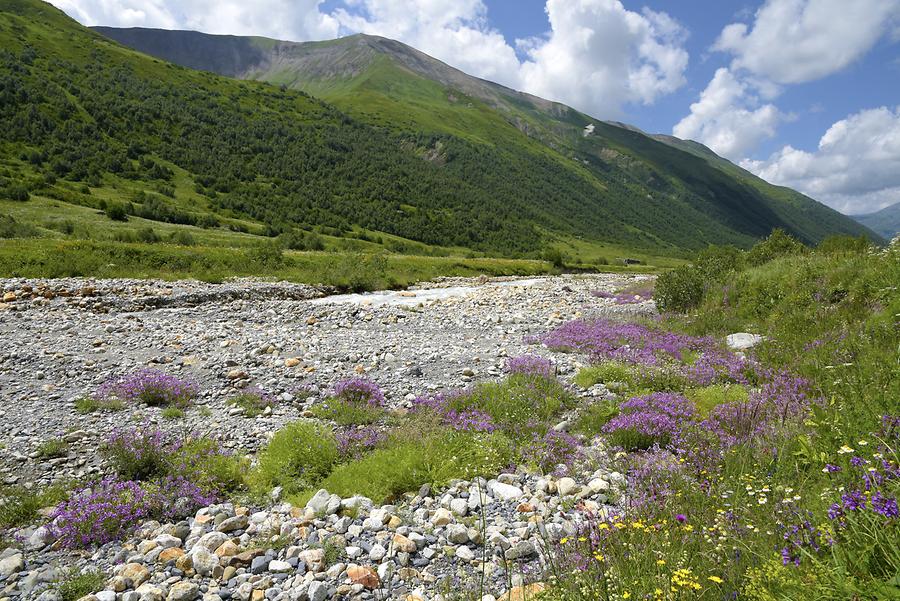 Valley near Shkhara Mountain