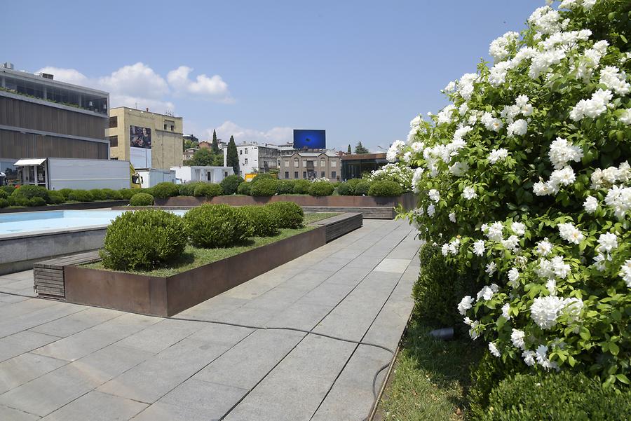 Rustaveli Avenue - Revolution of Roses