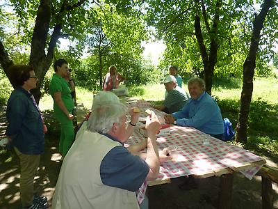 Picnic