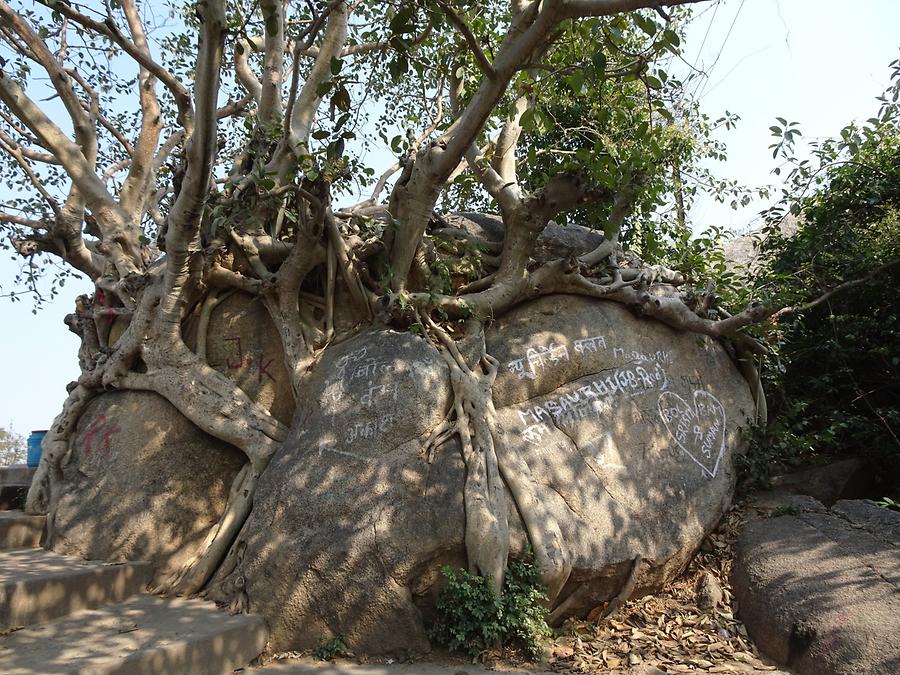 Barabar Caves