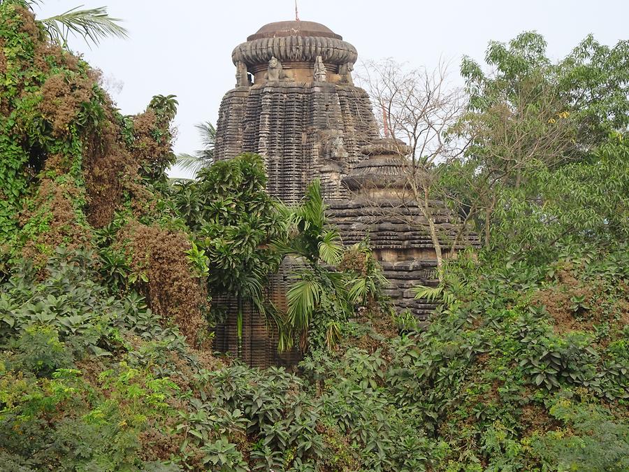 Lingaraja Temple