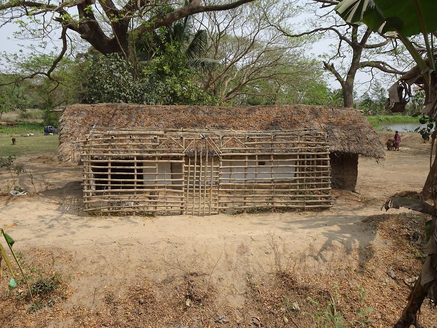 Rural Life near Bhubaneswar