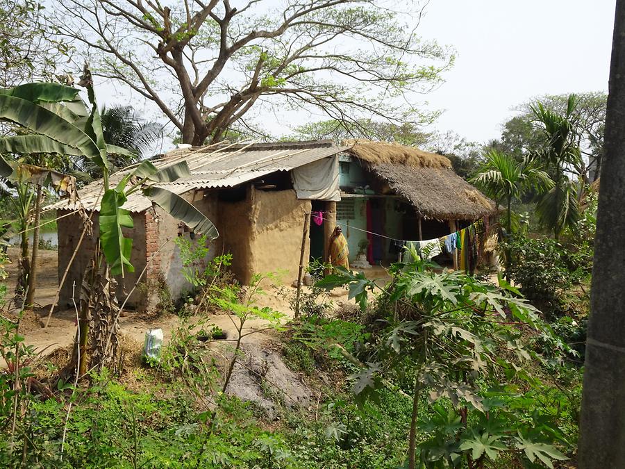 Rural Life near Bhubaneswar