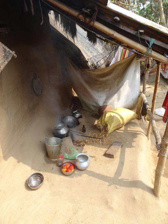 South of Bhubaneswar - Mud-Walled Houses