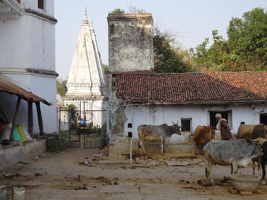 Bodh Gaya - Former Maharadja Palace