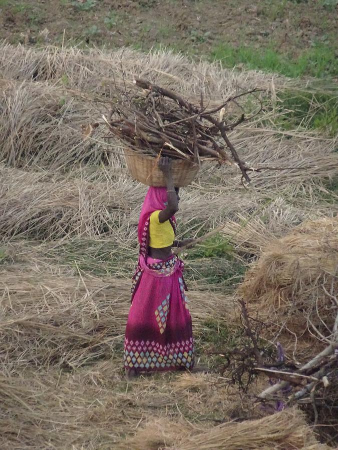 Rural Life near Bodh Gaya