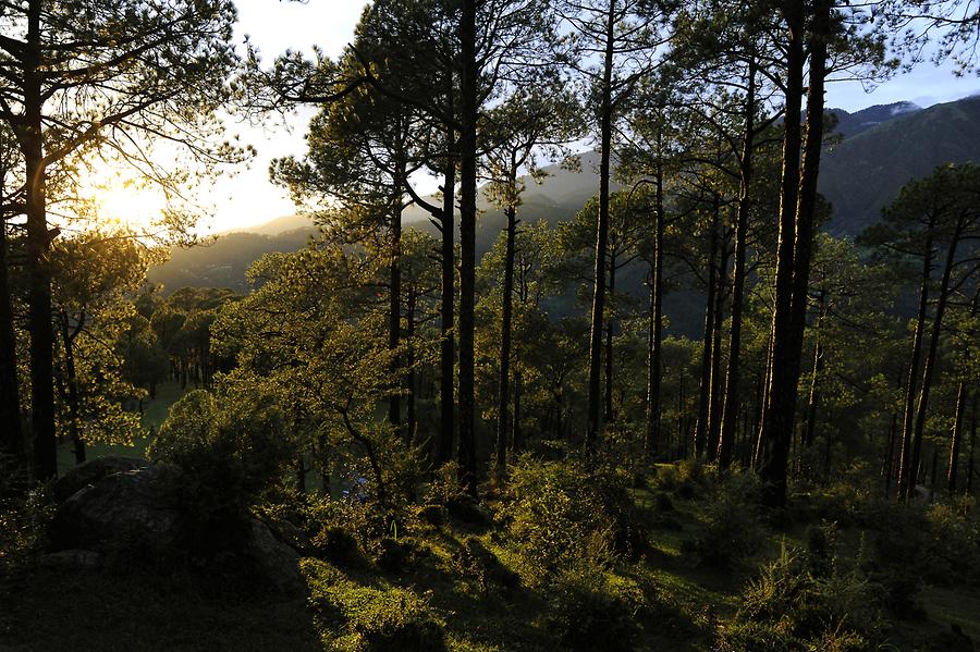 Landscape near Dharamsala