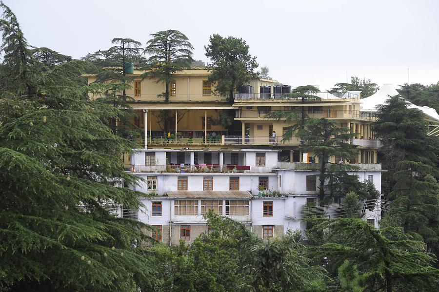 McLeod Ganj - Namgyal Monastery