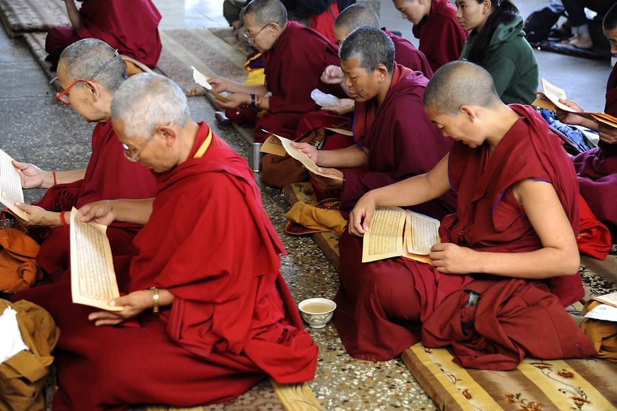 McLeod Ganj - Namgyal Monastery; Puja