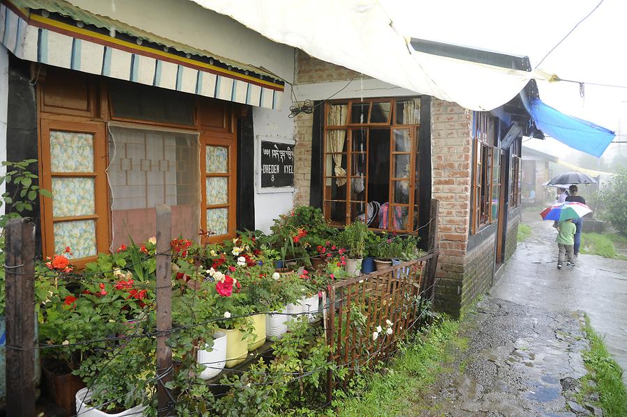 Tibetan Children's Village