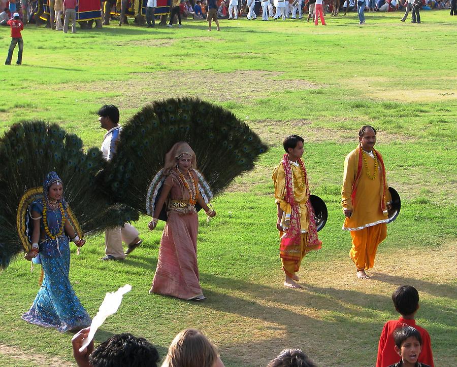 Elephant Festival