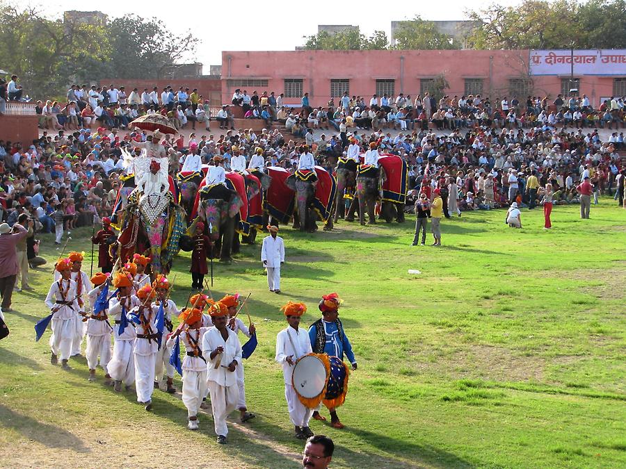 Elephant Festival