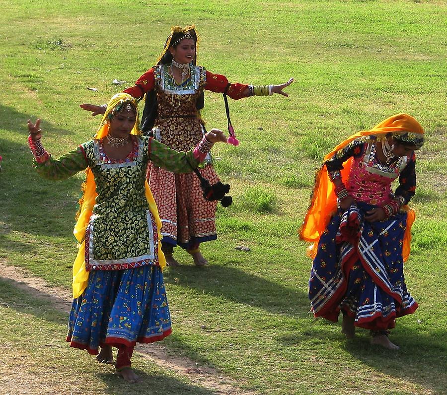 Elephant Festival