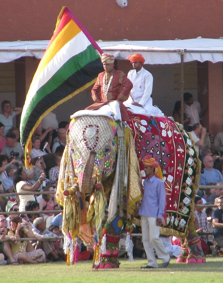 Elephant Festival