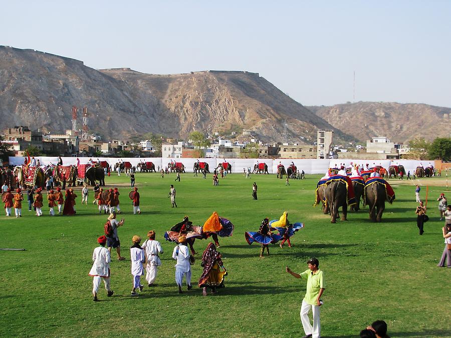 Elephant Festival