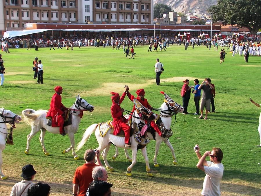 Elephant Festival