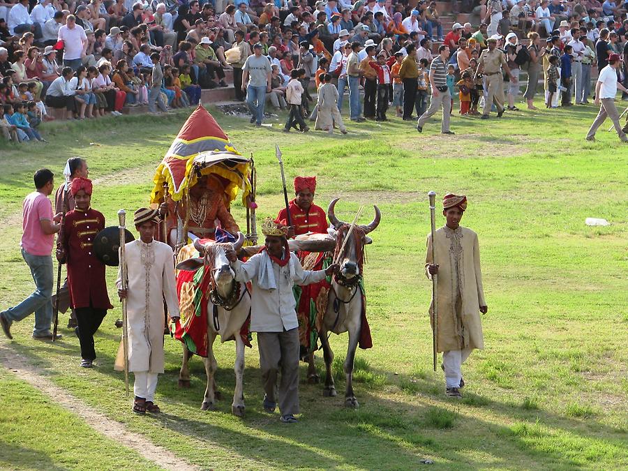 Elephant Festival