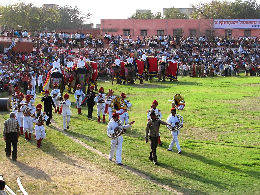 Elephant Festival