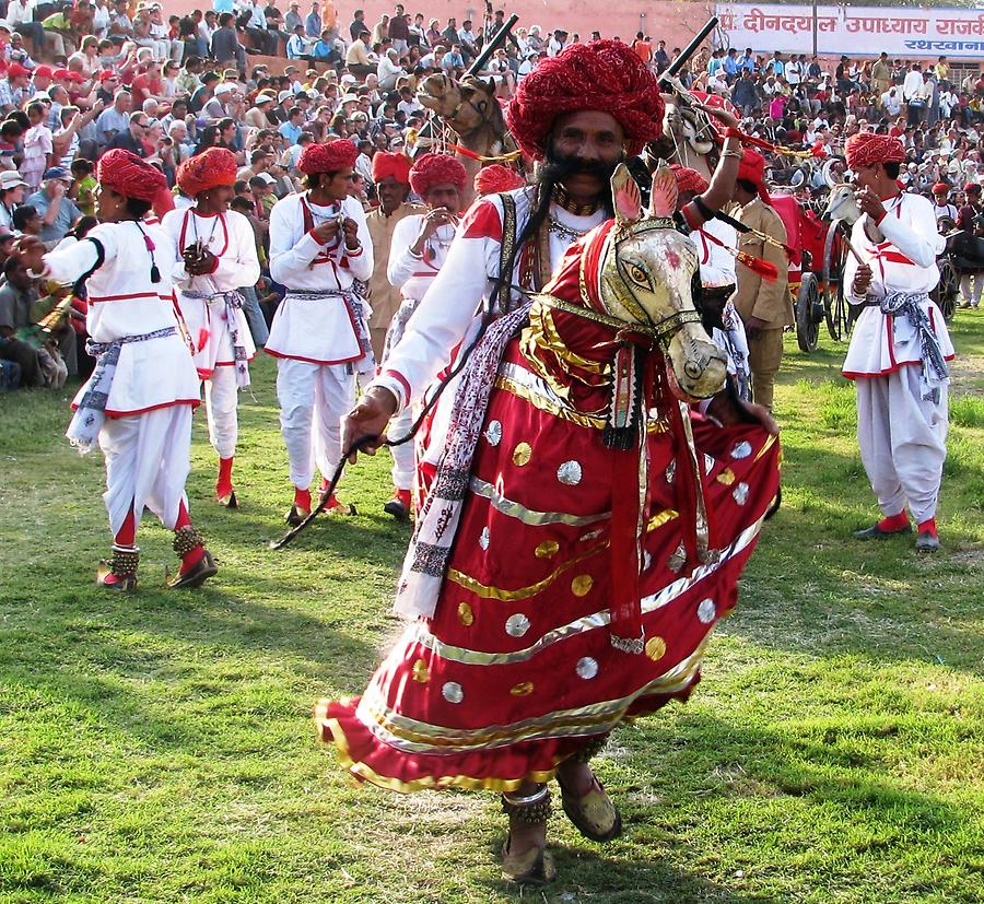 Elephant Festival