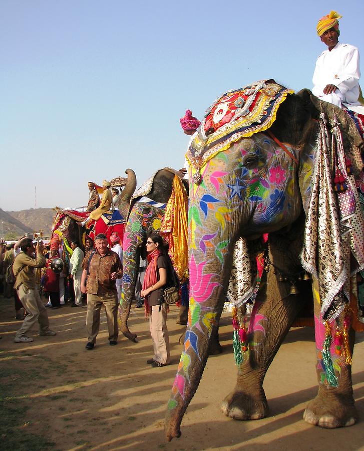 Elephant Festival