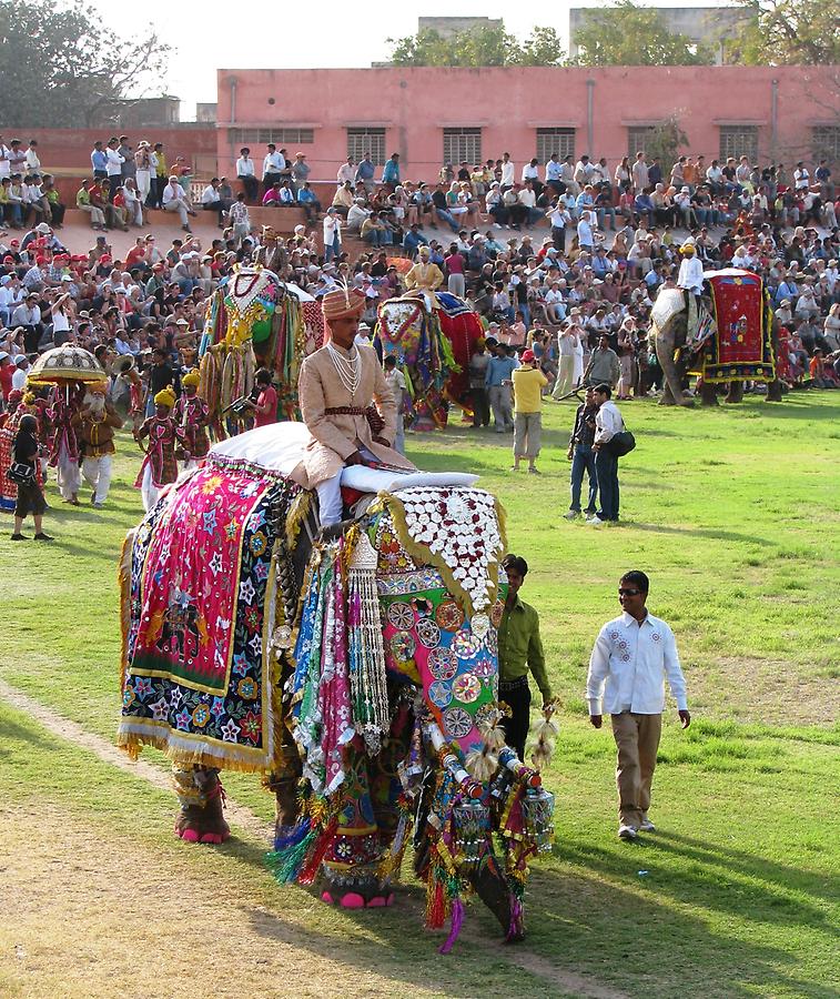 Elephant Festival