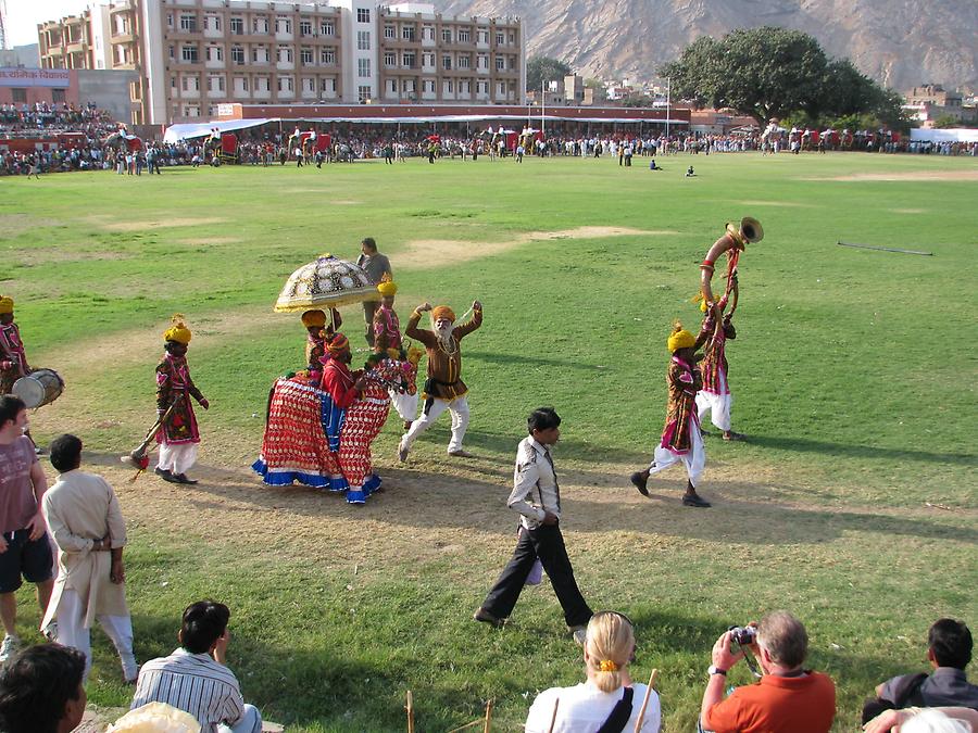 Elephant Festival