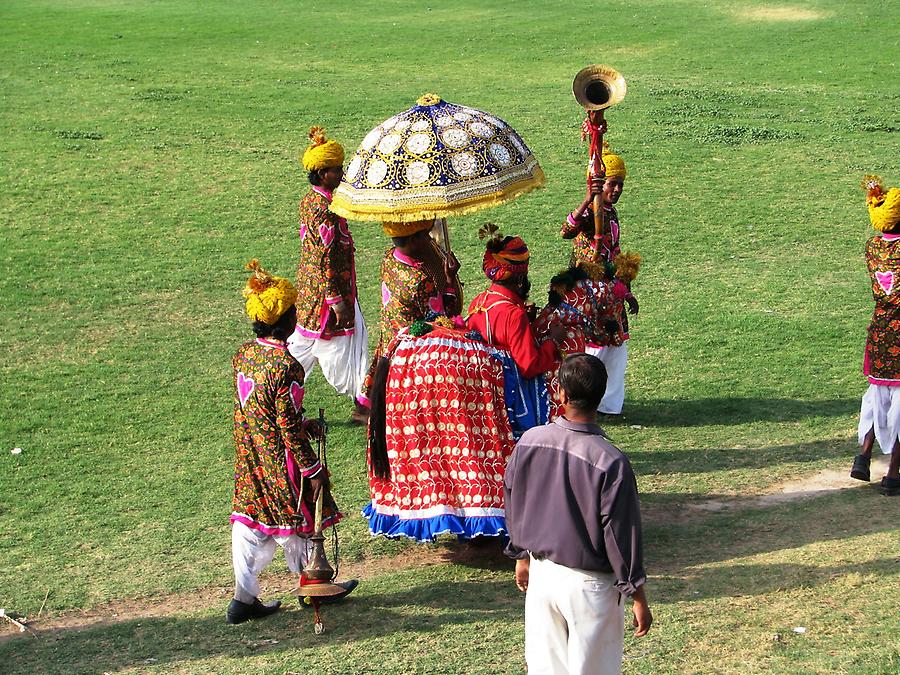 Elephant Festival