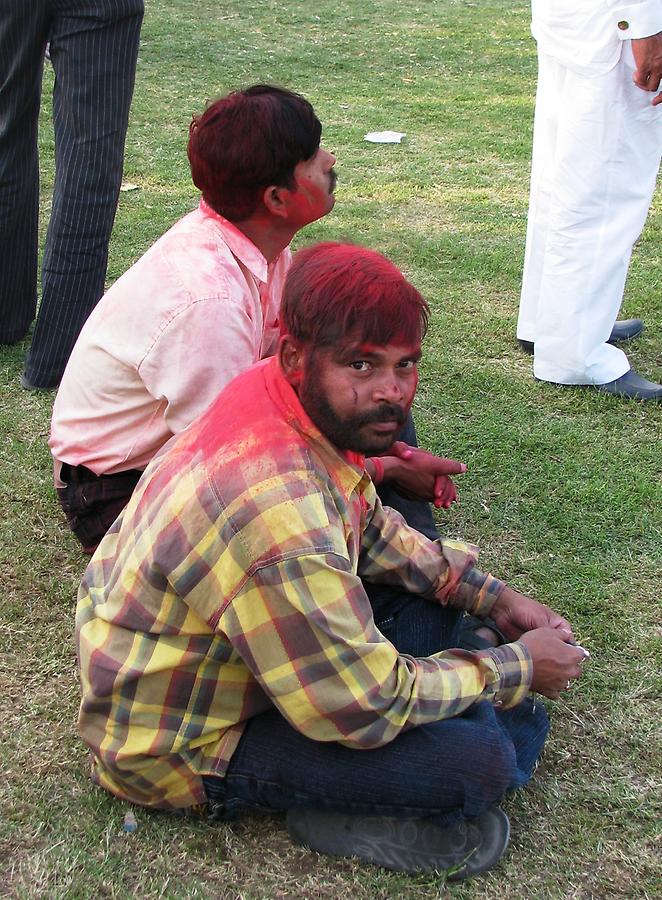 Elephant and Holi Festival