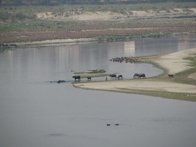 Yamuna River