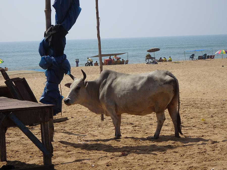 Puri - Beach