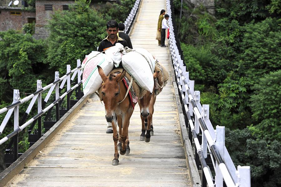 Kullu Valley - Suspension Bridge