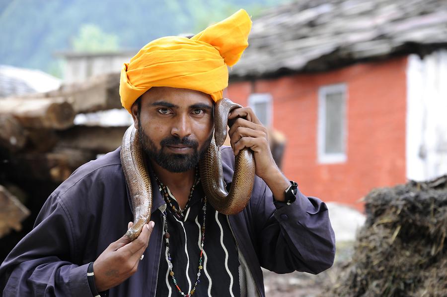 Old Manali - Snake Charmer