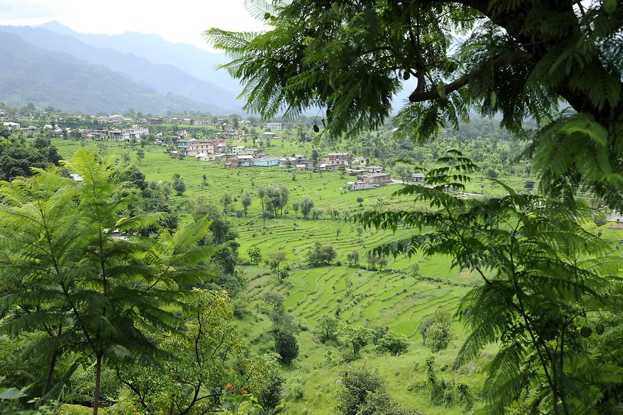 Paddy Fields near Gharanun