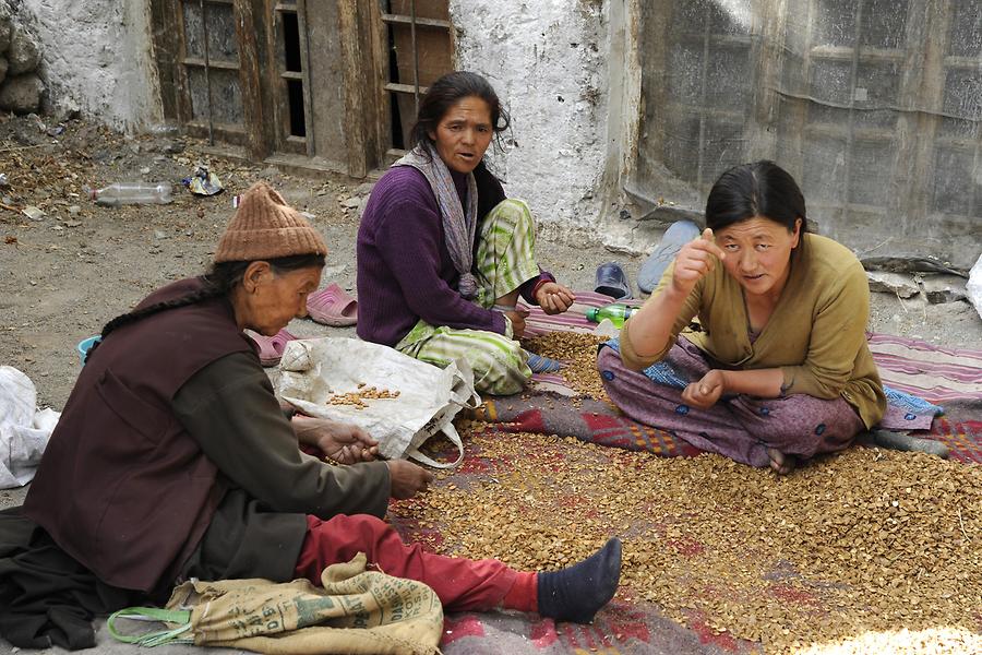 Alchi - Market Women